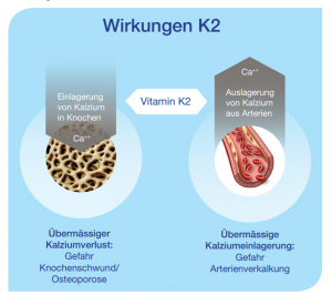 Wirkung Vitamin K2